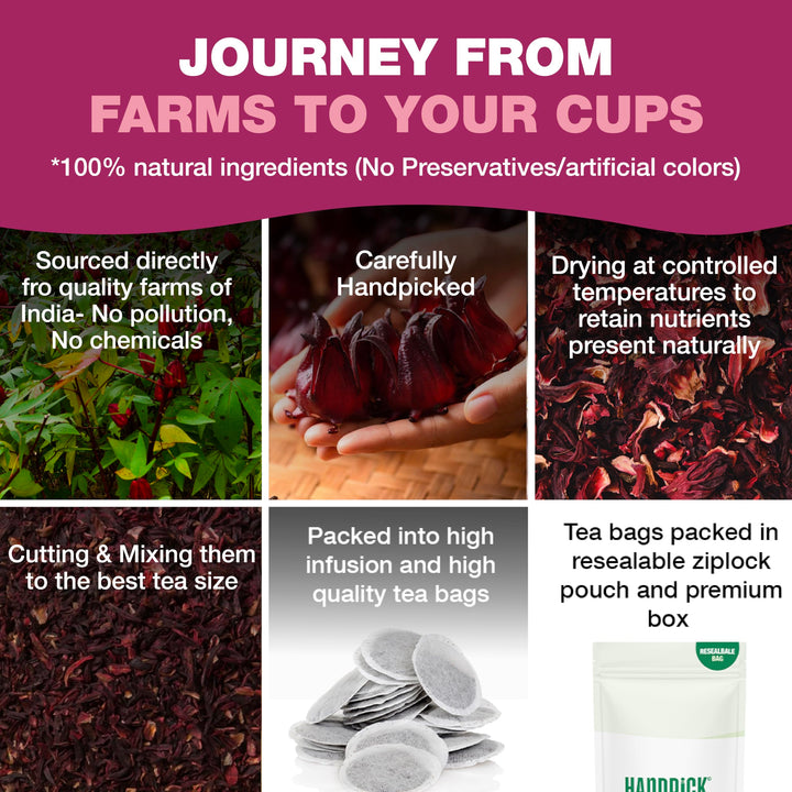 HANDPICK Hibiscus Tea Bags - 100 Count | 100% Pure Herbal Tea | Brew Hot or Iced | Carbon-Neutral & Plastic-Neutral
