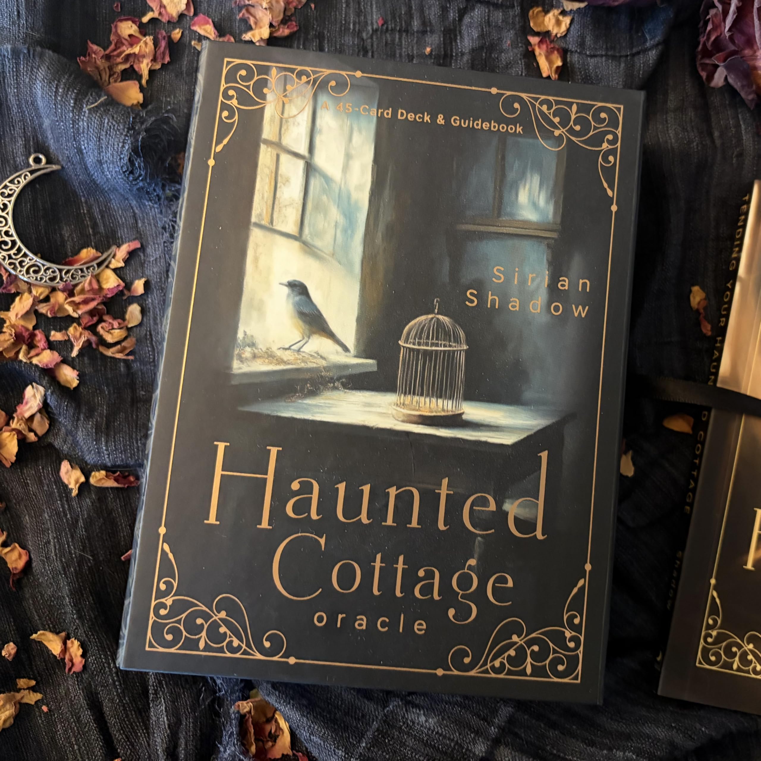 LLEWELLYN Haunted Cottage Oracle: A 45-Card Deck and Guidebook by Sirian Shadow 5