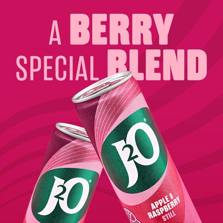 J2O Apple & Raspberry Flavoured Fruit Drink Cans - 4 x 250ml