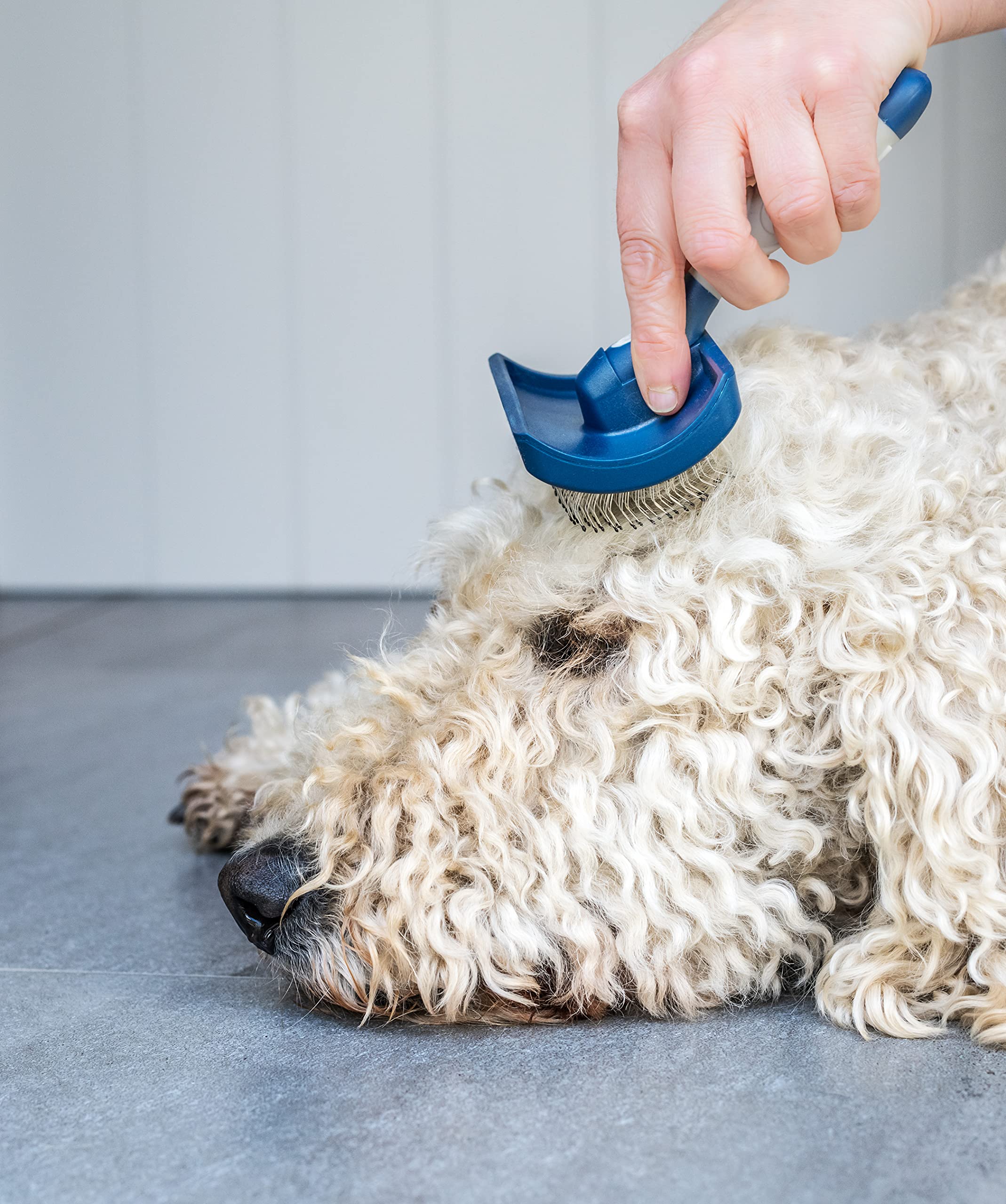 Mikki Dog Puppy Grooming Curved Head Slicker Brush for Doodles | X-Small | Stainless Steel Pins 4