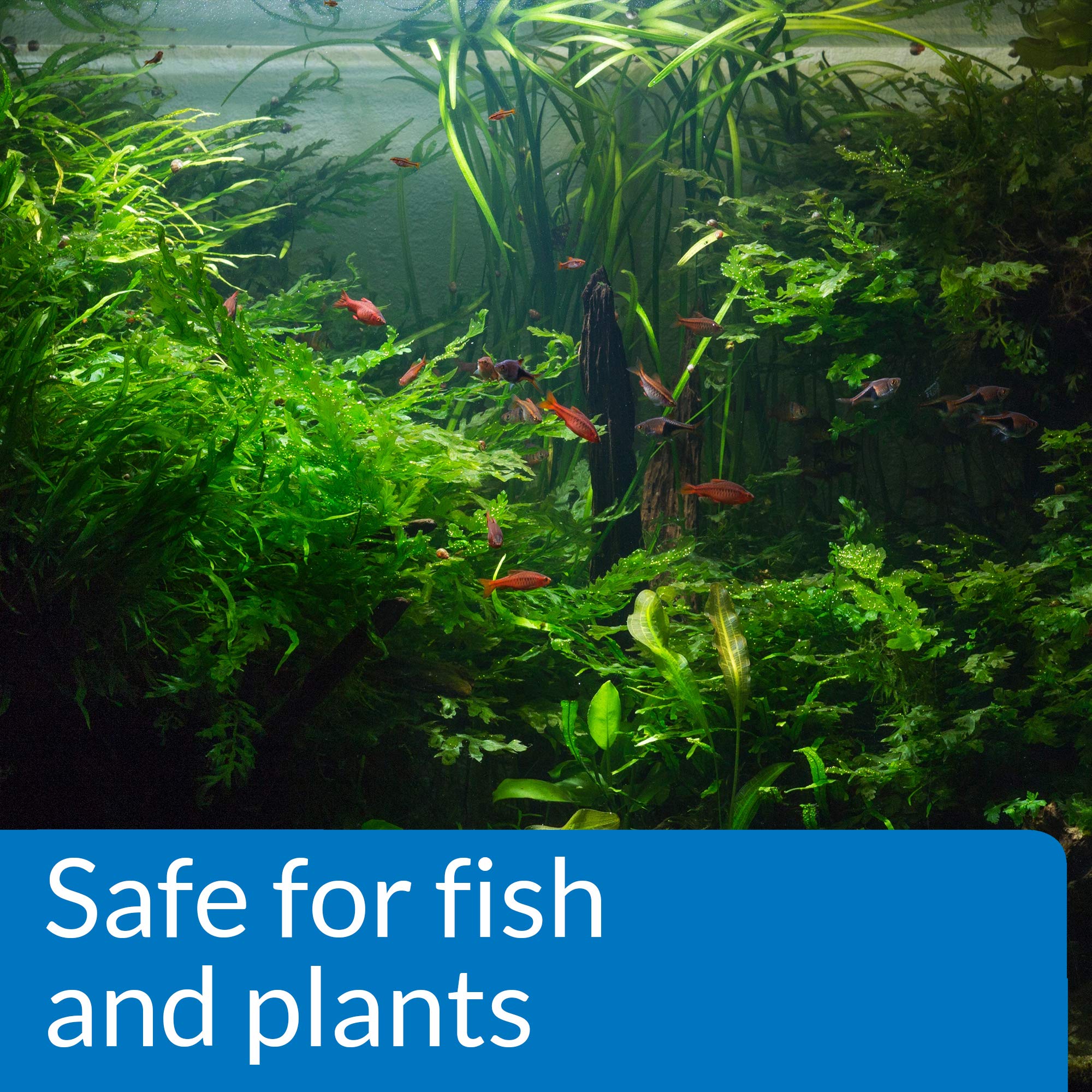API pH UP Freshwater Aquarium Water pH Raising Solution - Phosphate-Free Formula | 118 ml 5