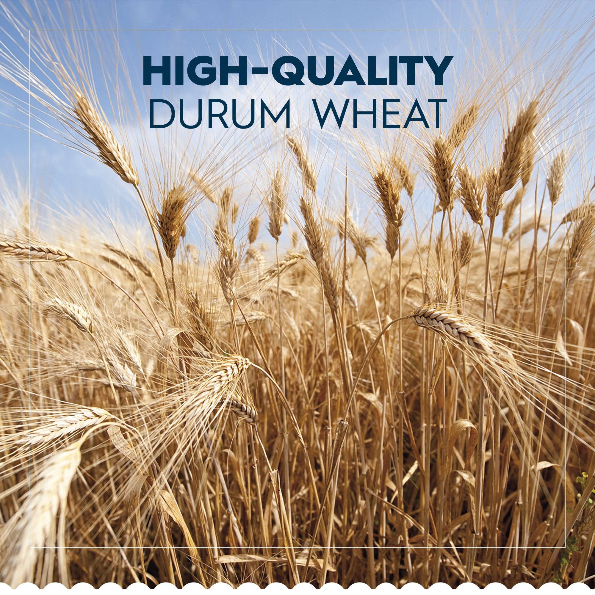 Barilla Spaghettini n.3 – Authentic Italian Pasta Made with Durum Wheat – 500g Pack of 10 7