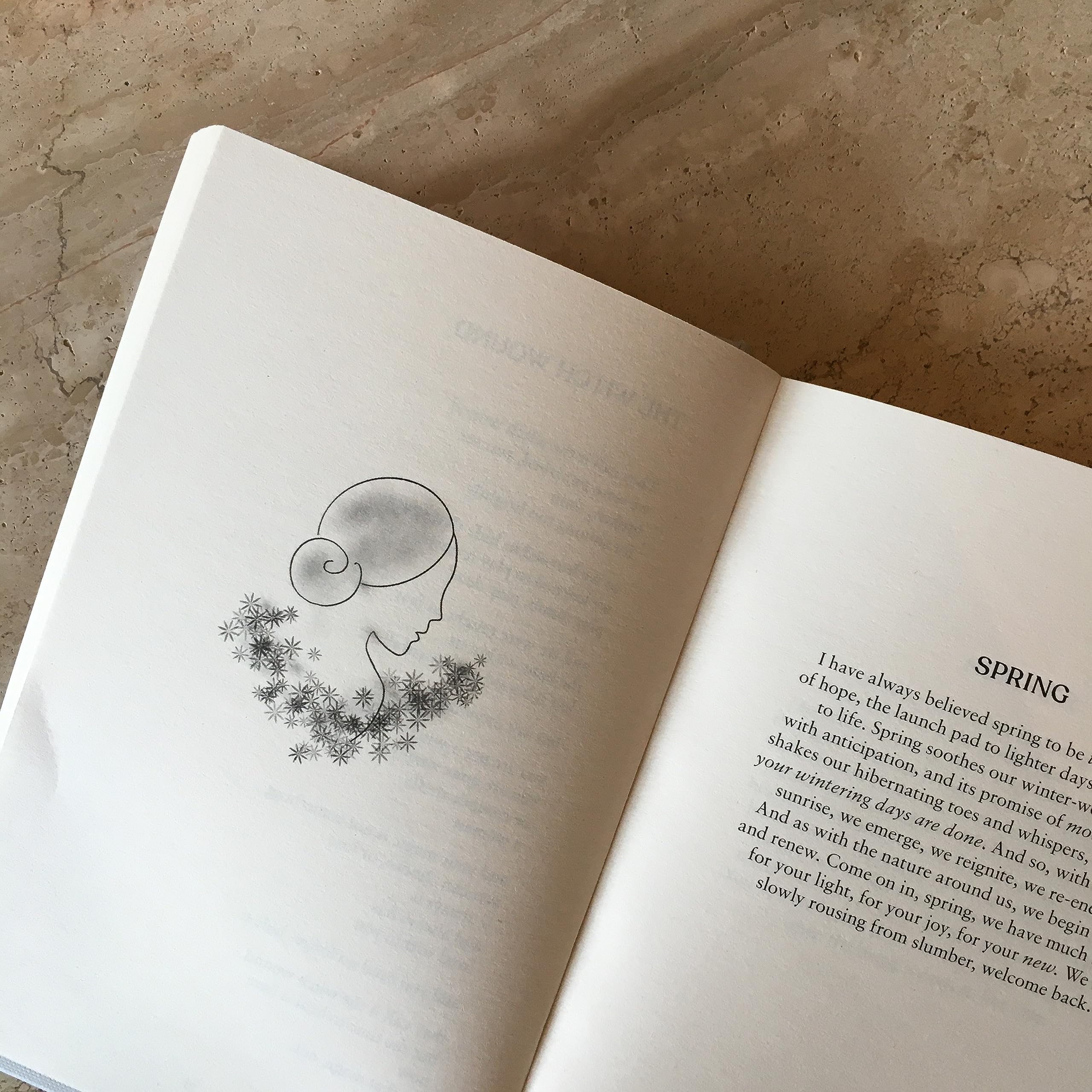 BLACK & WHITE PUBLISHING Wild Hope: Healing Words to Find Light on Dark Days Hardcover 3