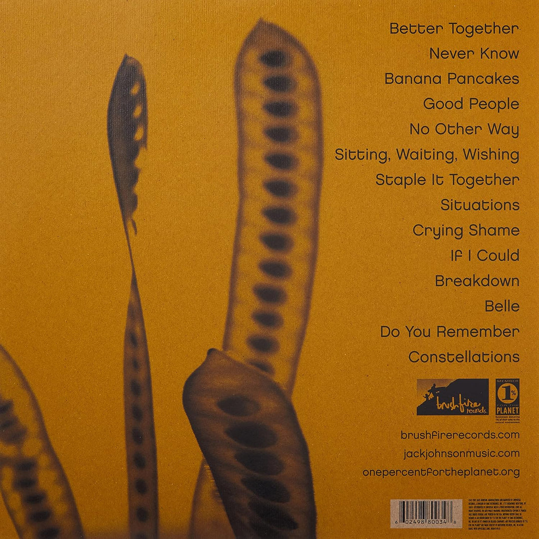 Jack Johnson - In Between Dreams Audio CD