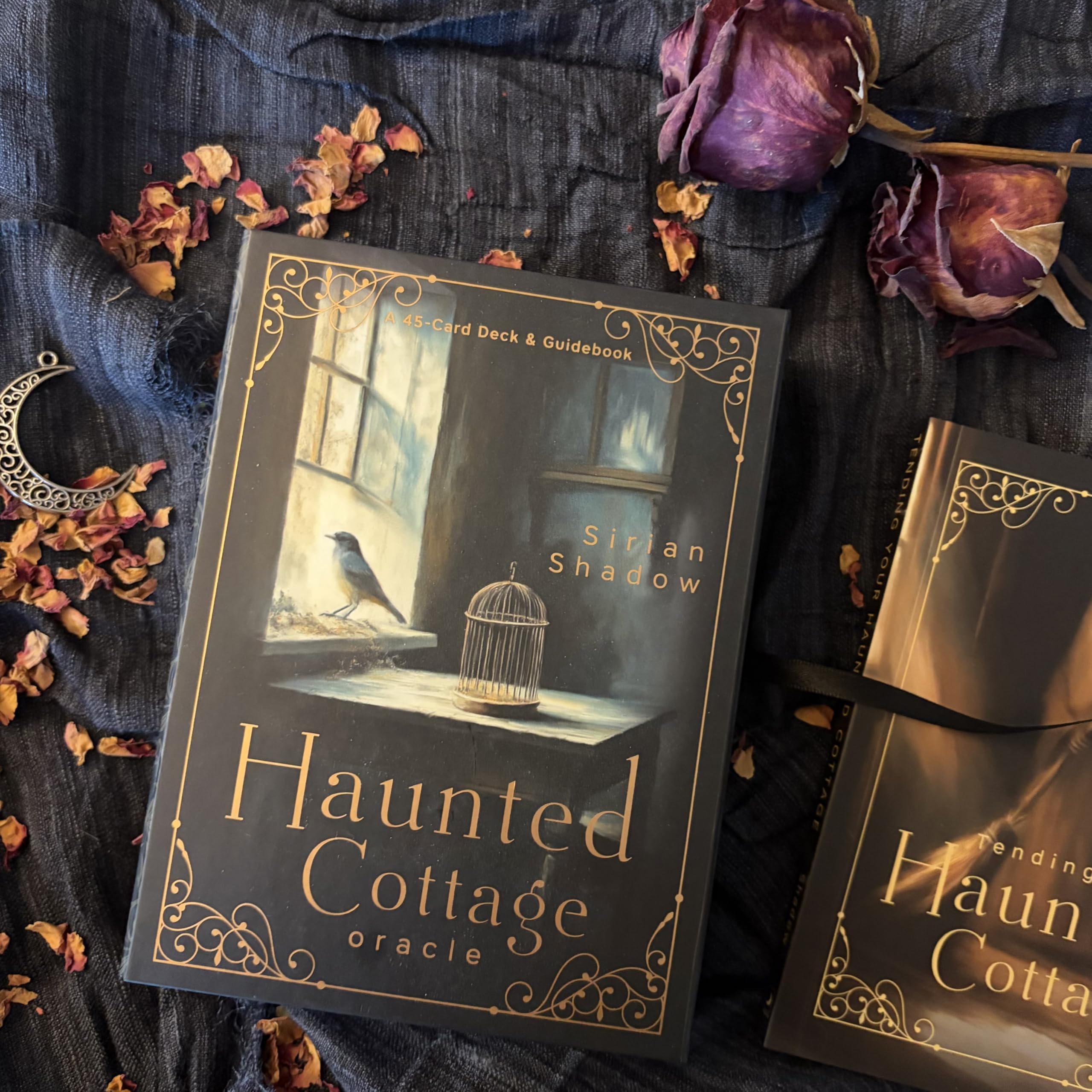 LLEWELLYN Haunted Cottage Oracle: A 45-Card Deck and Guidebook by Sirian Shadow 2