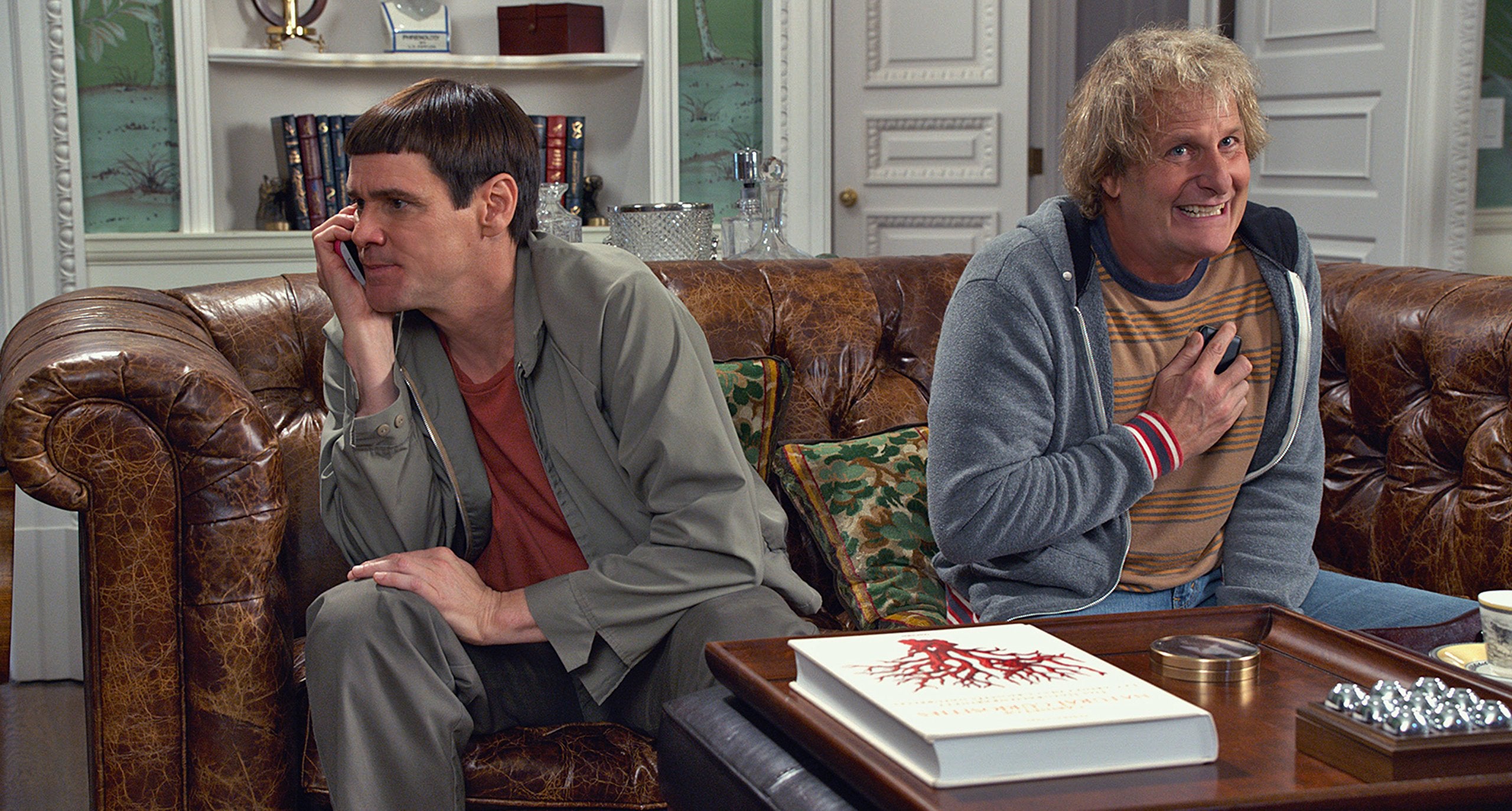 Dumb and Dumber To (2014) - DVD 4