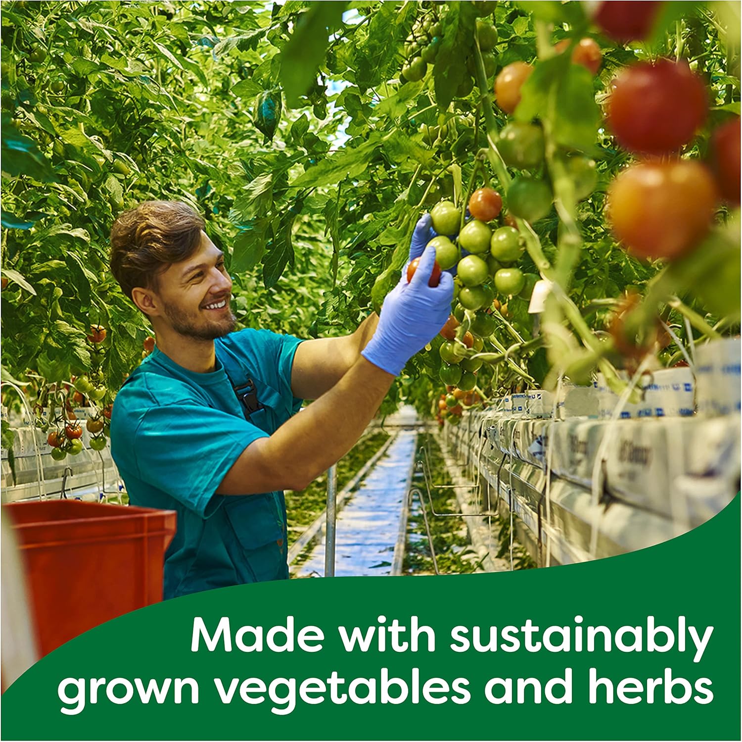 Knorr Hühnerbrühe in Töpfen, glutenfrei – Reichhaltiger Hühnergeschmack für Suppen, Saucen und Eintöpfe 7