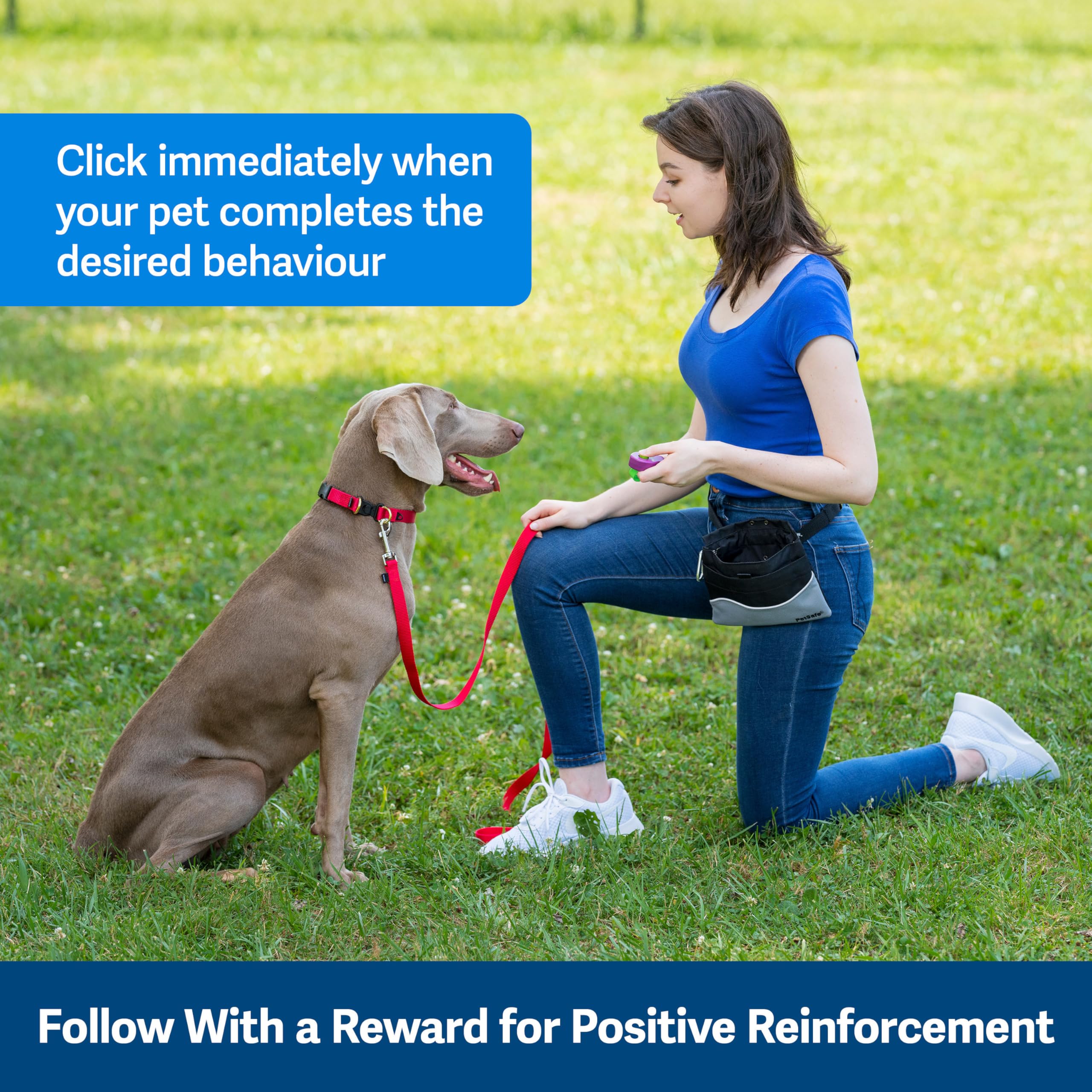 PetSafe Clik-R Training Clicker - Purple | Ergonomic Design | All Ages & Skill Levels 4