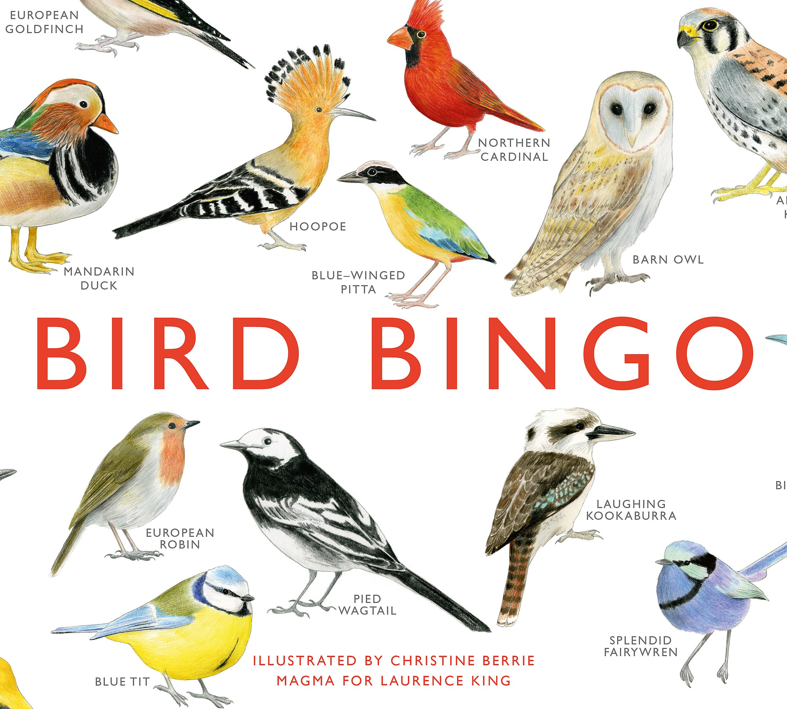 Laurence King Bird Bingo - Educational Game for Children/Juvenile | Multicolor | Cardstock 1