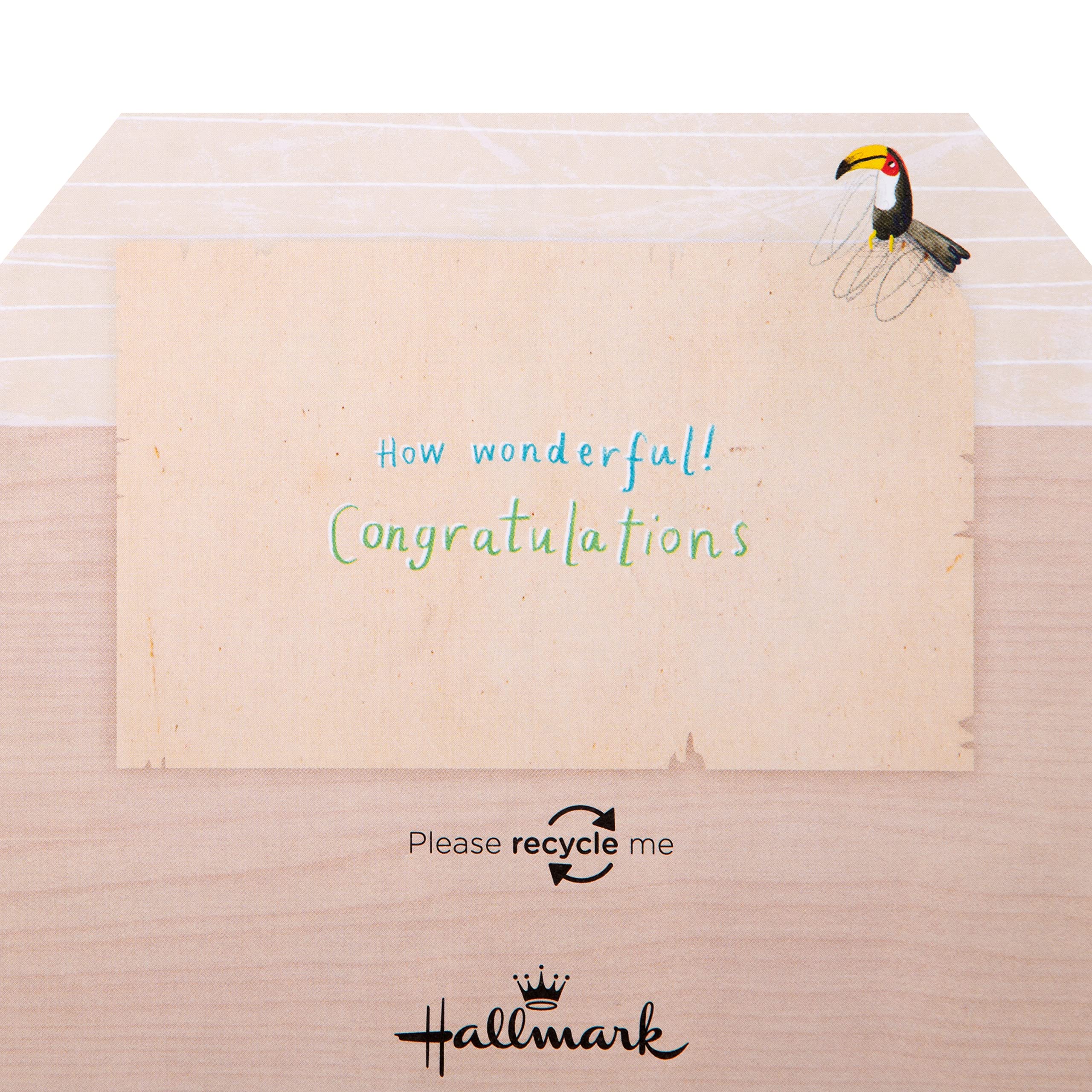 Hallmark New Baby Congratulations Card - 3D Fold-Out Animal Ark Design | 15.9cm x 22.8cm 4