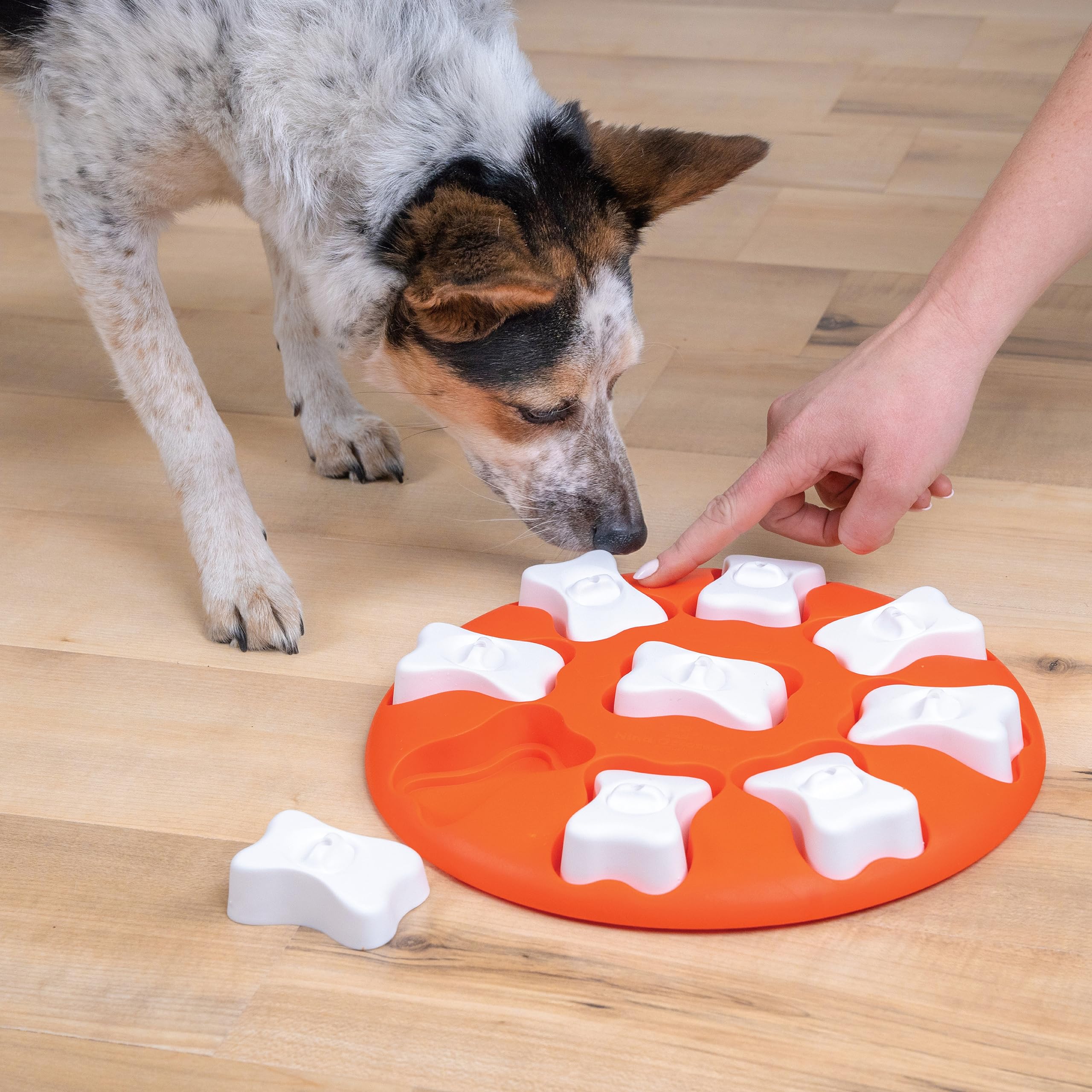 Outward Hound Dog Smart Treat Puzzle Enrichment Toy - Level 1 Beginner 6