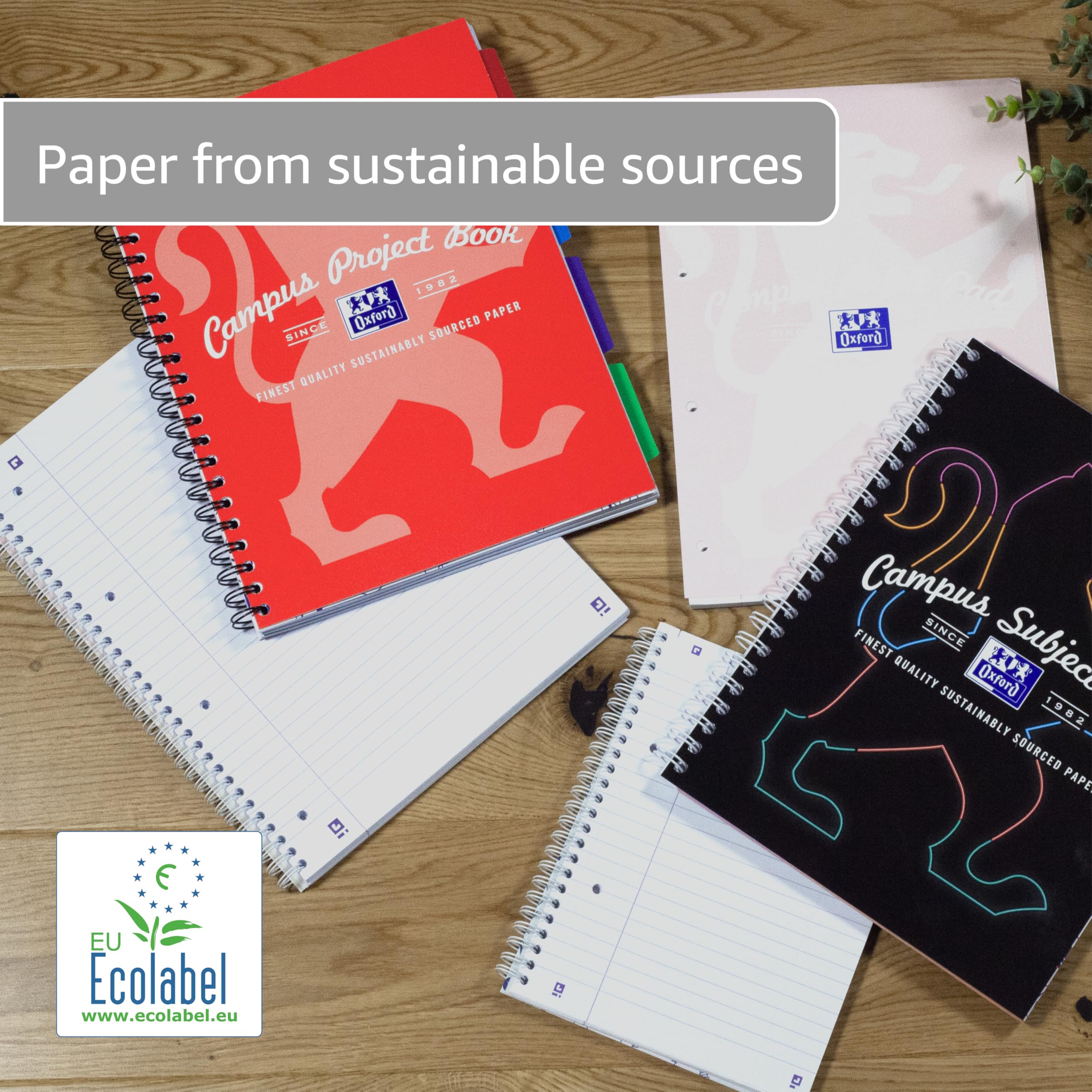 Oxford Campus A4 Project Notebook with Dividers - 200 Pages, 8mm Lined, Optik Paper+, Red 6
