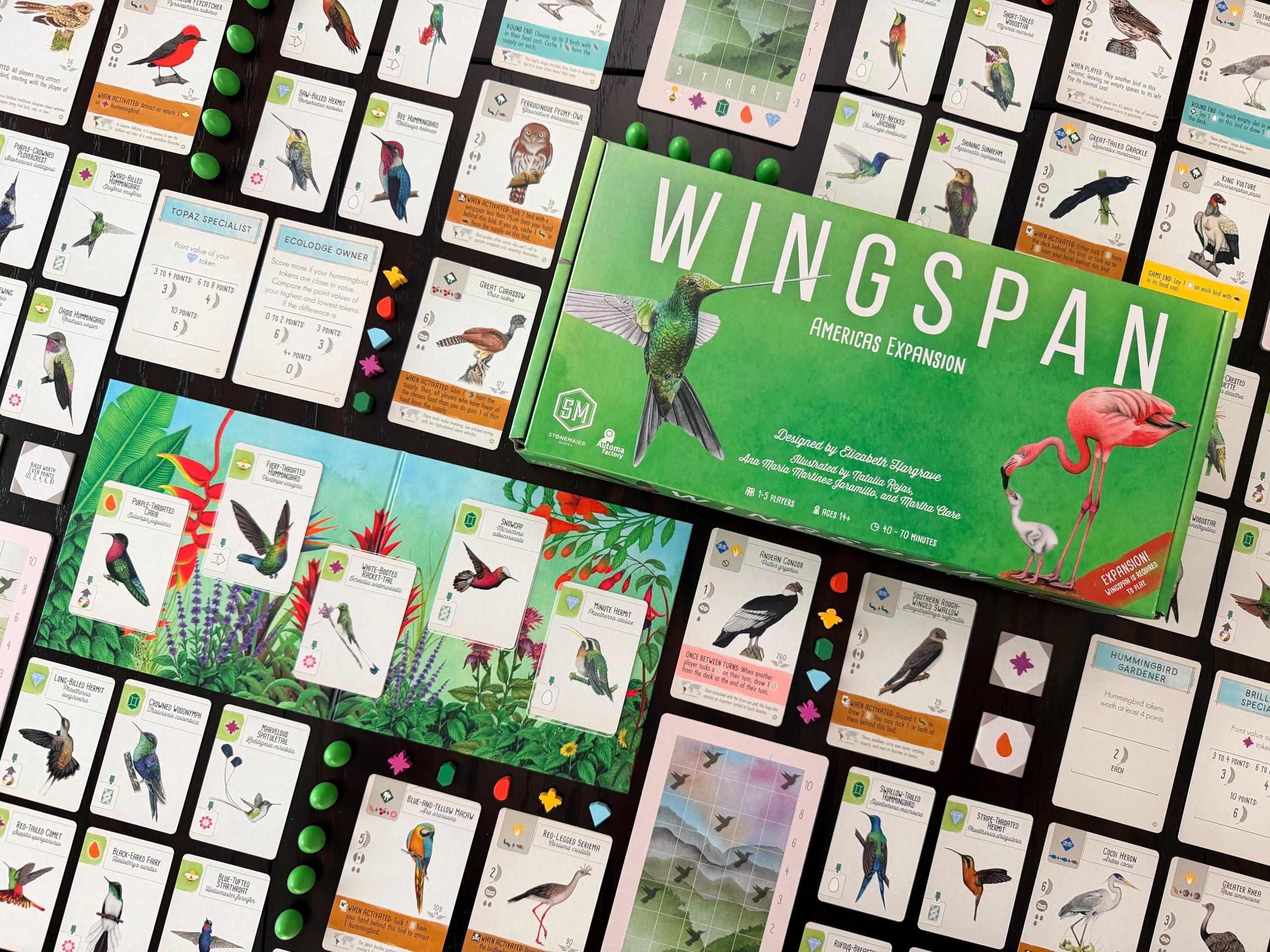 Stonemaier Games Wingspan Americas Expansion Board Game | Ages 14+ | Multicoloured 3
