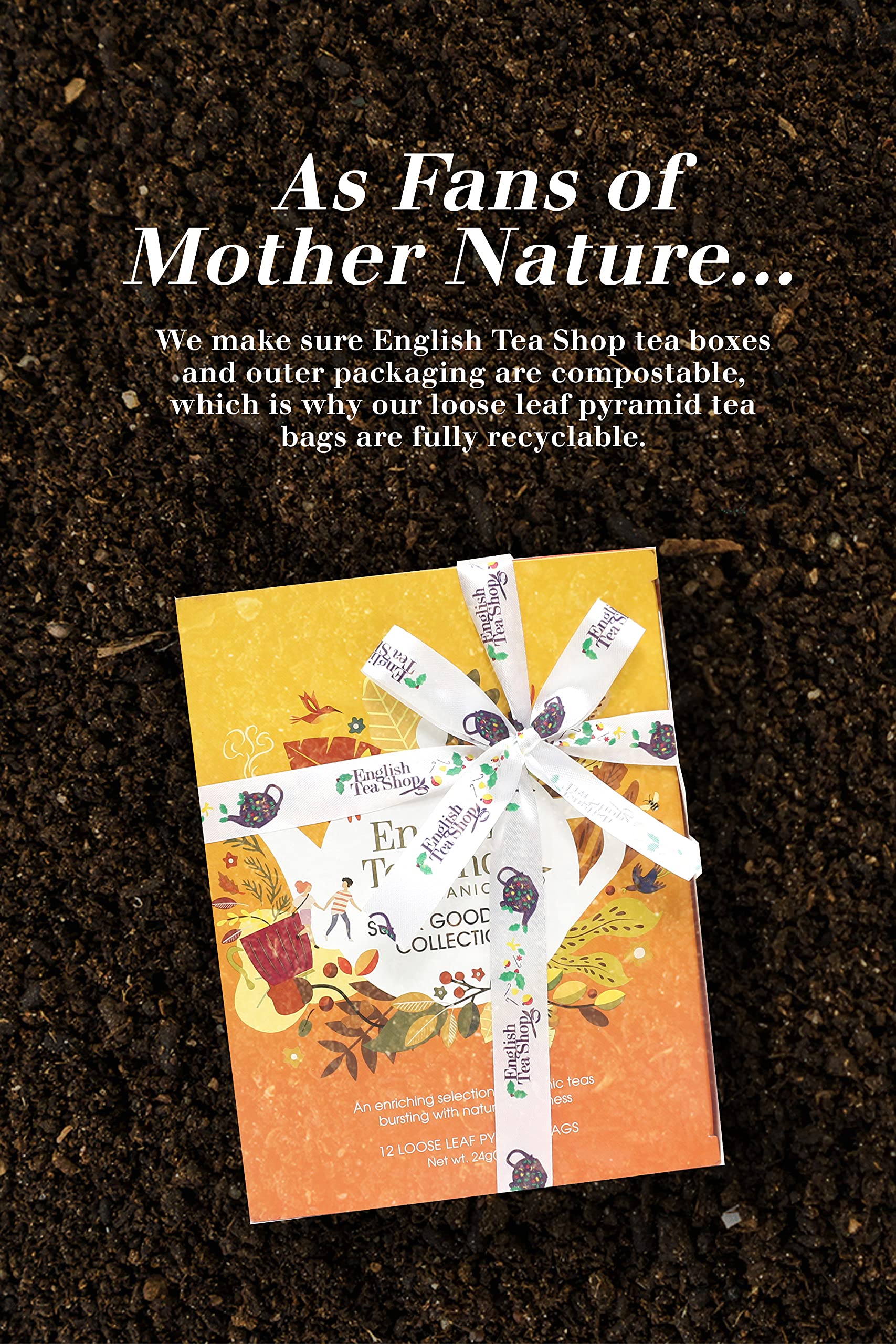 English Tea Shop Super Tea Prism Collection - 12 Fairtrade Organic Pyramid Tea Bags in 6 Flavours 6