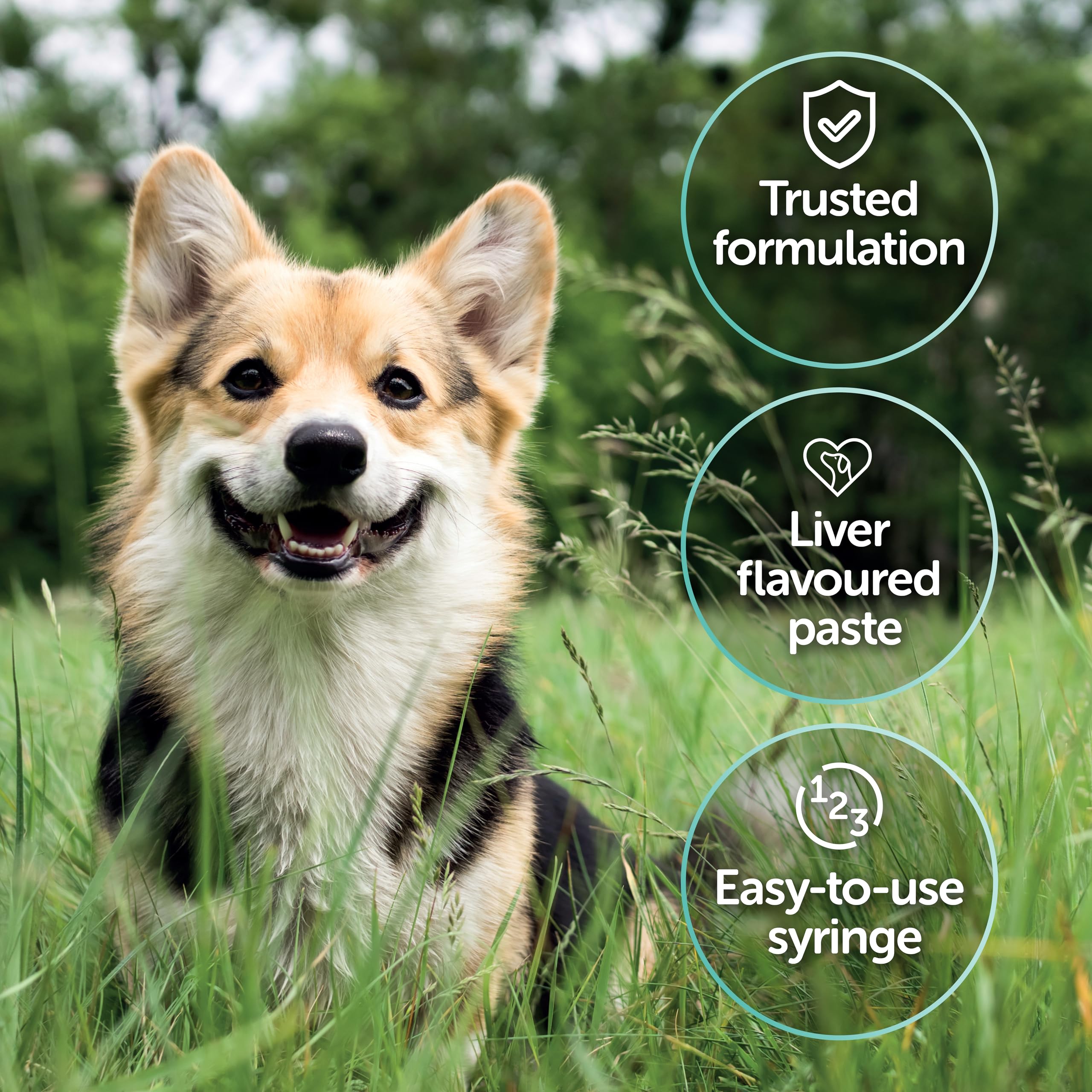 Protexin Veterinary Pro-Kolin Advanced for Dogs - Digestive Balance & Firm Stool Support | 60 ml 5