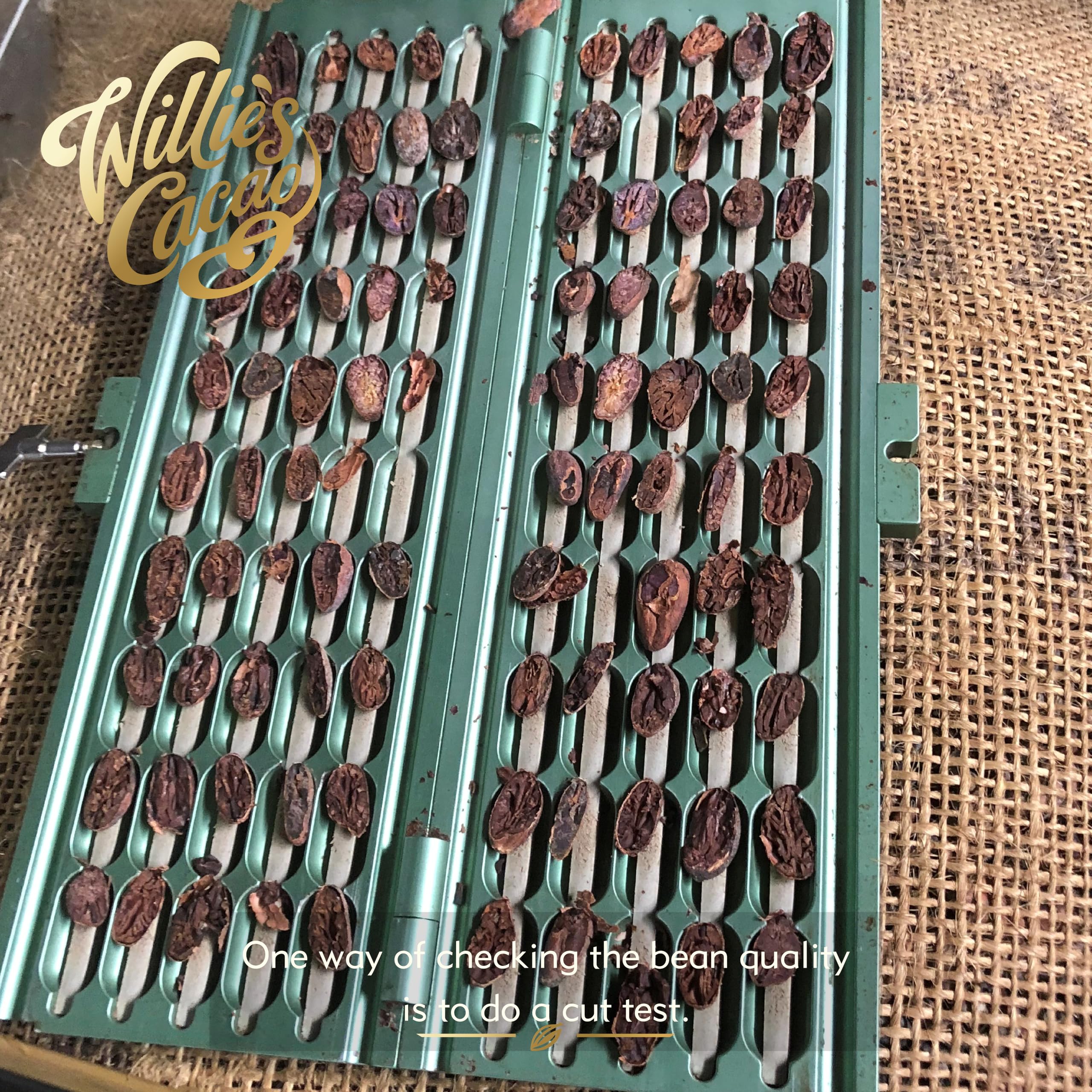 Willie's Cacao Bar - Milk of the Gods 44% Milk Chocolate - 50g Artisan Bean to Bar 3