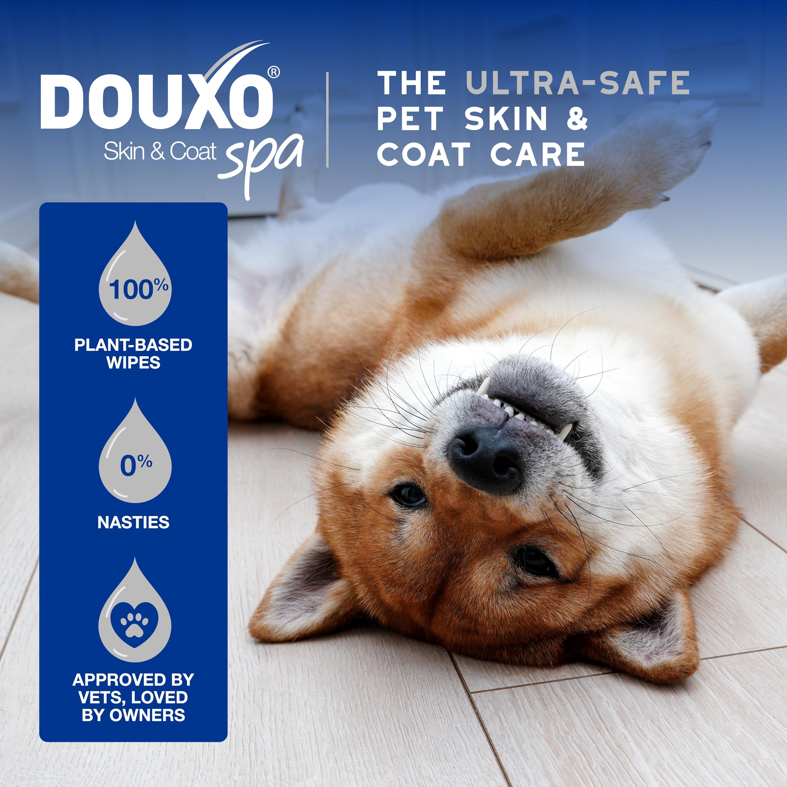 Douxo Skin & Coat Care - Multipurpose Grooming Wipes for Dogs and Cats | 100 Wipes | Hypoallergenic 4