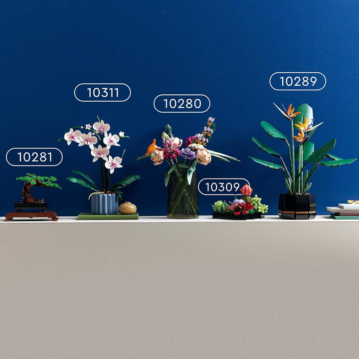LEGO 10309 Icons Succulents Set - Artificial Plants for Adults, Home Décor & Building
