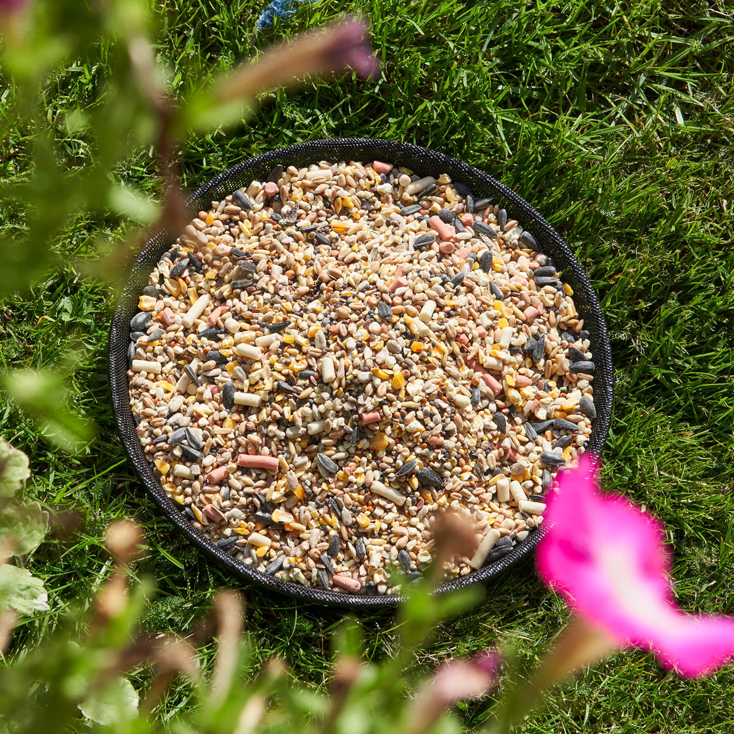 Walter Harrisons Heavy Duty Metal Ground Bird Feeder - Freestanding Tray for Seed Mix & Mealworm 3