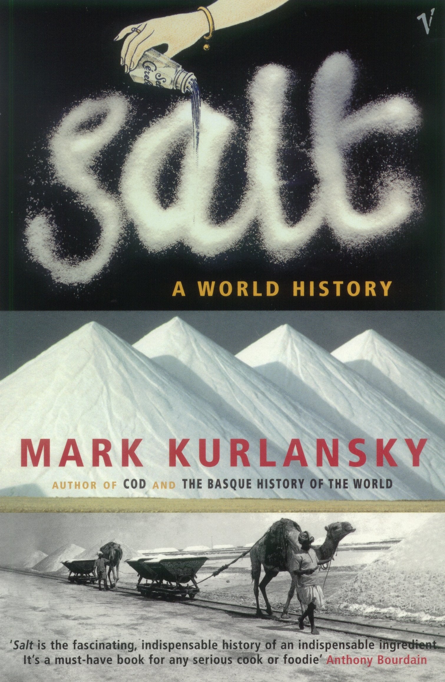 Salt: A World History by Mark Kurlansky - Travel Writing Paperback 1