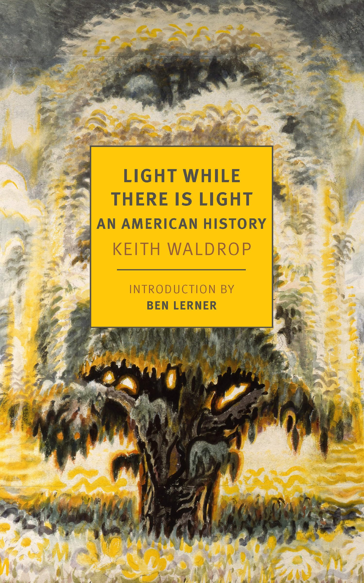 Lerner Light While There is Light: An American History | Paperback | 208 Pages