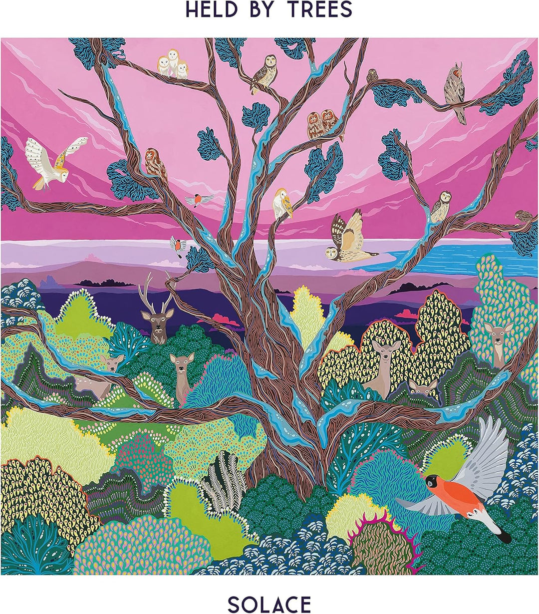 Held by Trees - Solace (Vinyl LP) - Limited Edition Post-Rock & Prog Instrumental Album Featuring Talk Talk, Pink Floyd, and Dire Straits Veterans