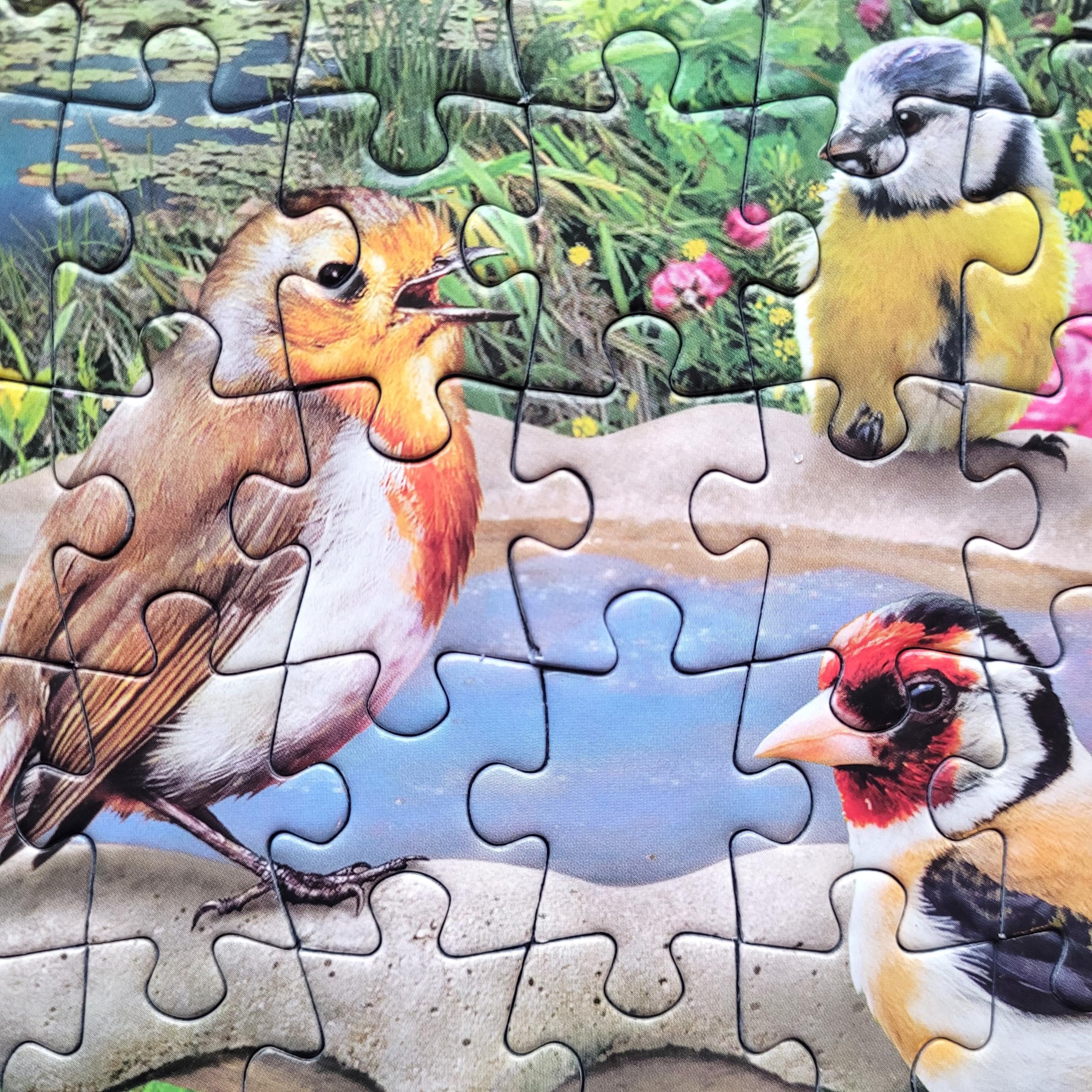 Gibsons Birdsong by the Stream Jigsaw Puzzle - 1000 Pieces | Premium Recycled Board | Includes Poster 5