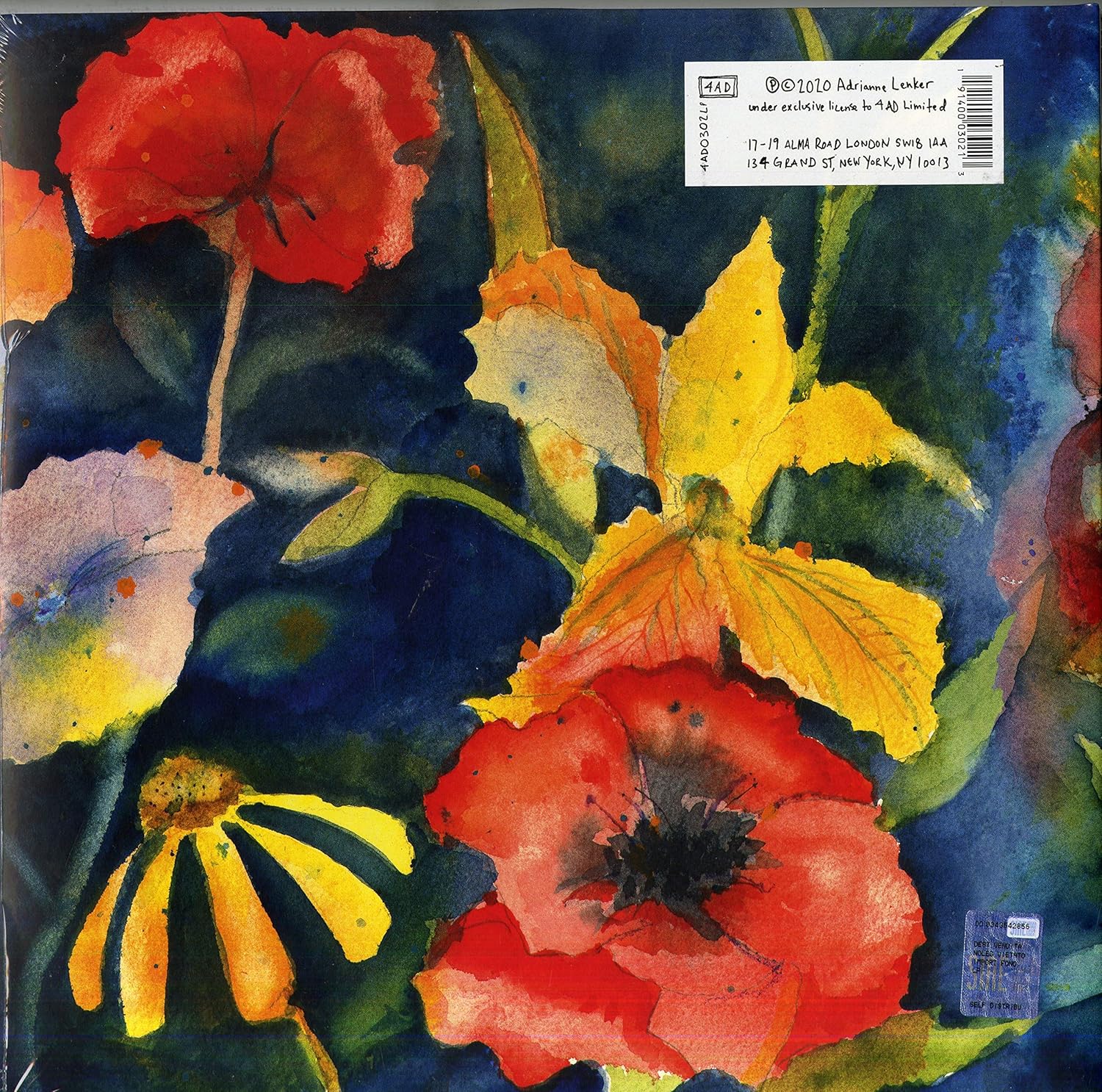 Big Thief - Songs and Instrumentals [Audio CD] 6