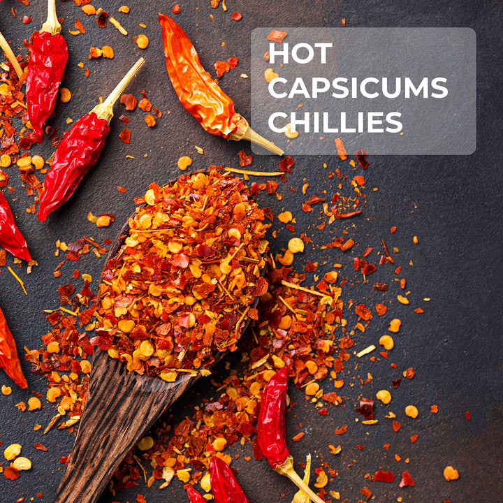 Go Gourmet Indian Chilli Flakes - Dried Crushed Chillies from India