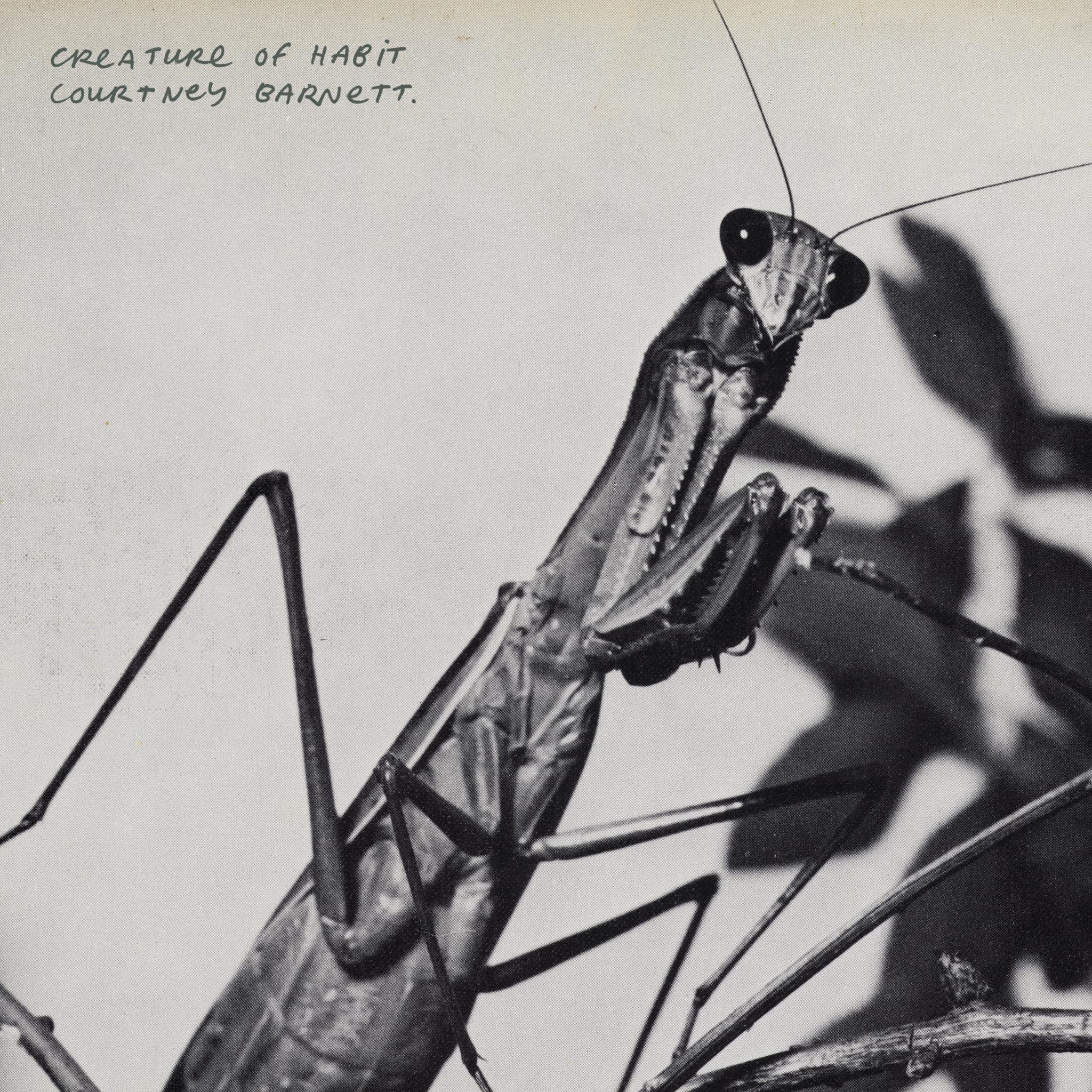 Courtney Barnett - Creature of Habit [CD] 1