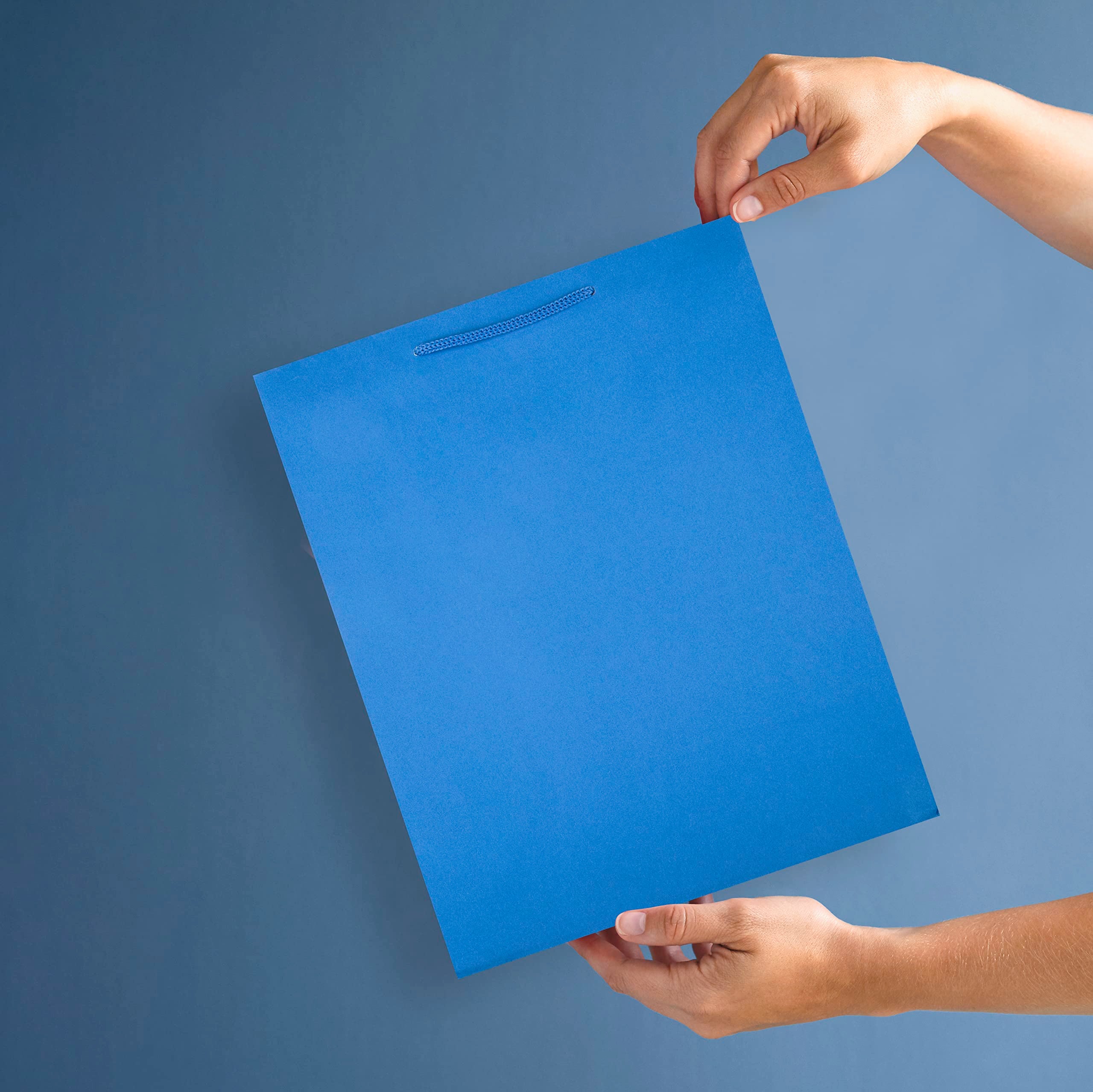 Hallmark Large Plain Blue Gift Bag - Multi-Occasion Use | FSC Certified Paper 2