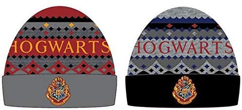 Harry Potter Adult Unisex Children’s Knitted Hat, Multicolour, One Size