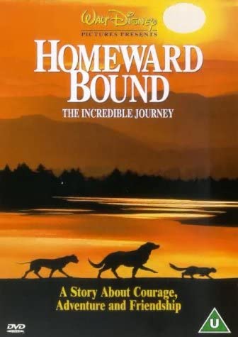 Homeward Bound: Die unglaubliche Reise – Abenteuer [DVD]