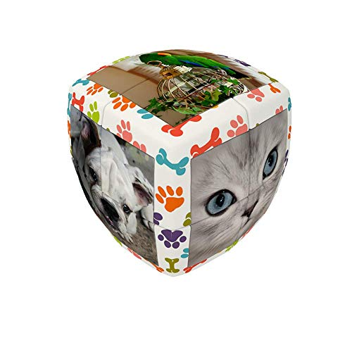 V-Cube "2 Essential-Pets Cube (Multi-Colour)