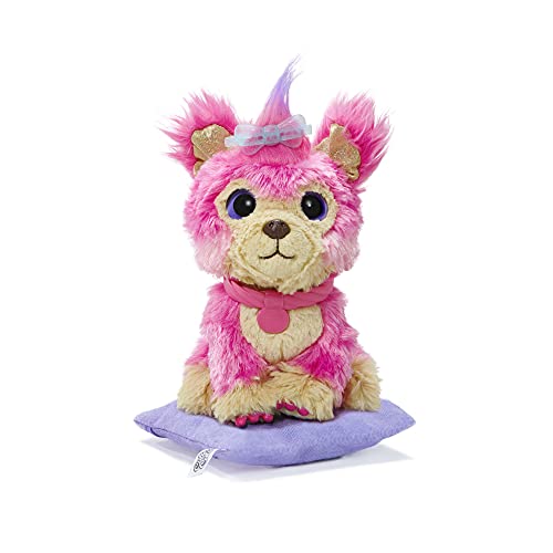 Little Live Pets 30146 Scruff-a-Luvs Cutie Cuts zum Rasieren, Enthüllen und Stylen, Plüsch R