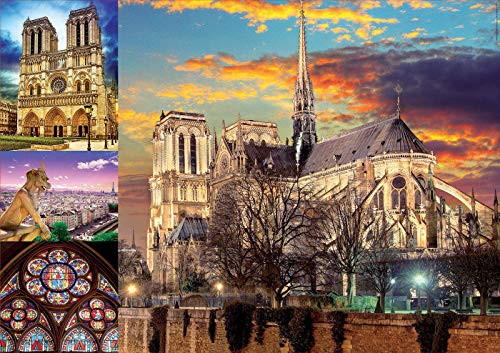 Educa Borrás 18456 Educa Borras Notre Dame Collage 1000 Piece Jigsaw Puzzle