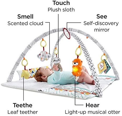 Fisher Price FXC37 Perfect Sense Deluxe Palestra
