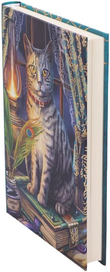 Nemesis Now Lisa Parker Book of Shadows Journal, Multi Coloured, 17cm