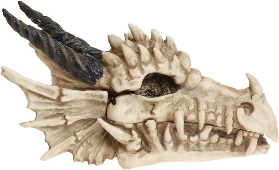 Nemesis Now AL50057 Dragon Skull Box 15cm Ivory