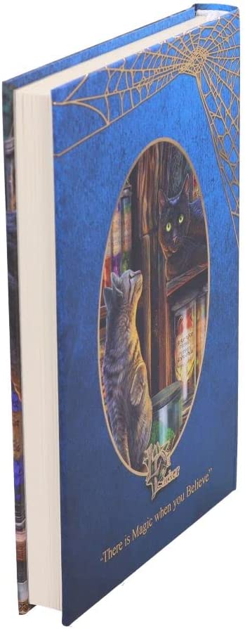 Nemesis Now Lisa Parker Magical Emporium Tagebuch, mehrfarbig, 17 cm
