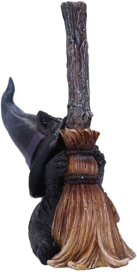 Nemesis Now Wiccan & Witchcraft Collection - Broom Guard Figurine 6
