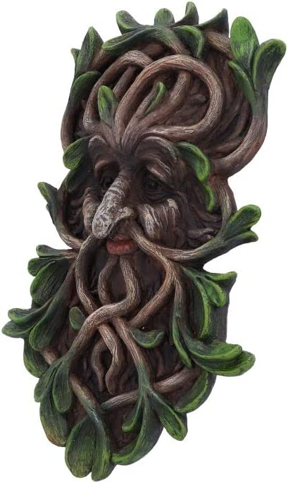 Nemesis Now Tawnya Tree Spirit Wall Plaque in Brown 4