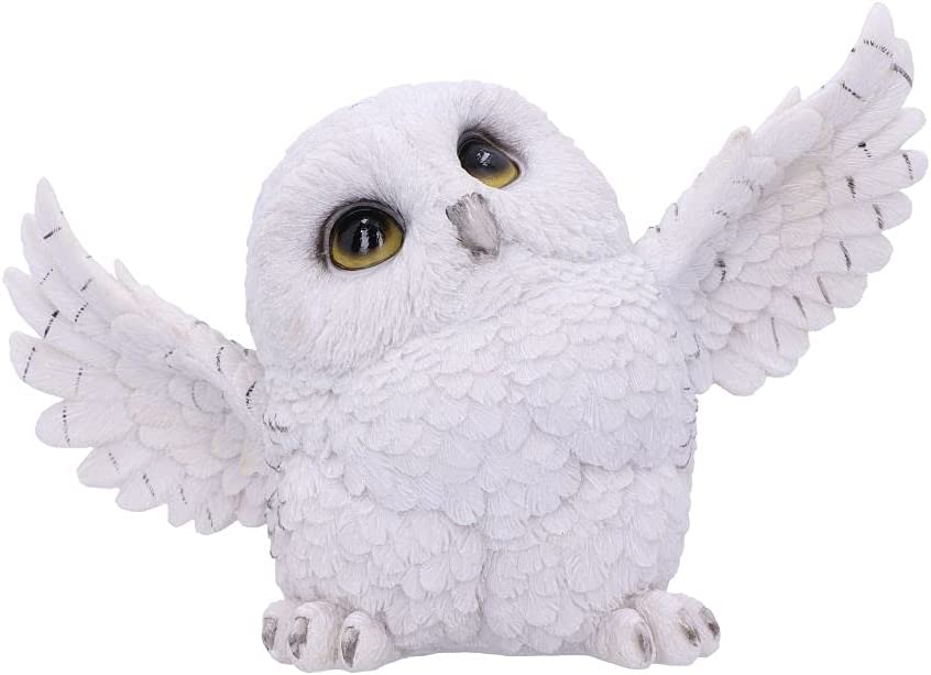 Nemesis Now Snowy Delight – Eulenfigur aus weißem Harz