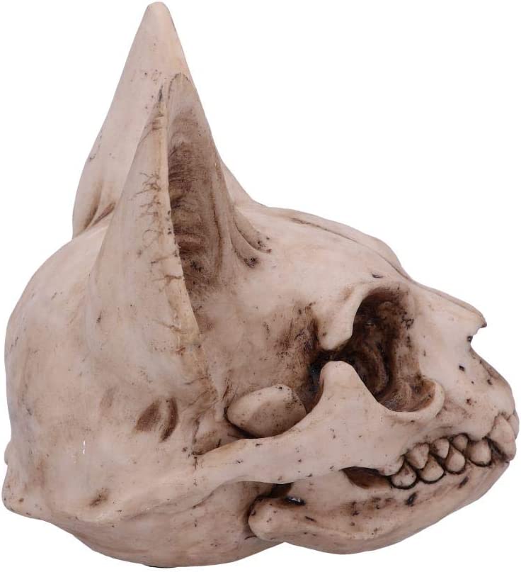 Nemesis Now Bastet's Secret Cat Skull Figurine Ornament, Natural Bone Colour, On
