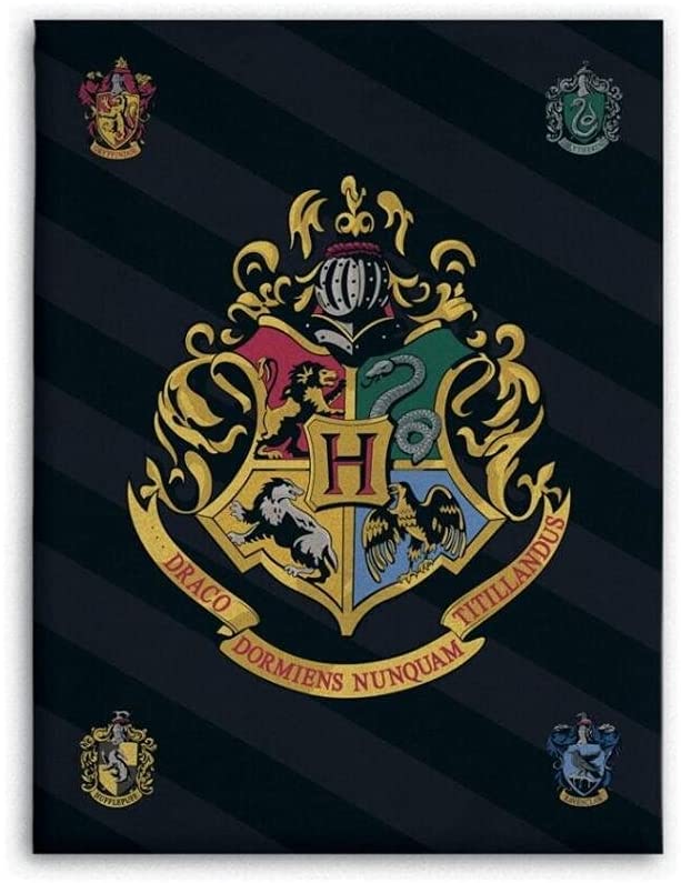 Gamesland Harry Potter Fleecedecke 100 x 140 cm