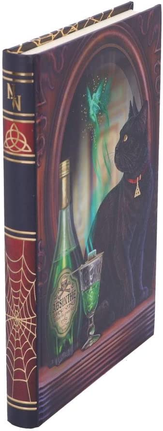 Nemesis Now Lisa Parker Absinthe-Tagebuch, mehrfarbig, 17 cm