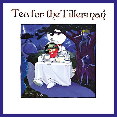 Tea For The Tillerman 2 - Yusuf / Cat Stevens [Audio CD]
