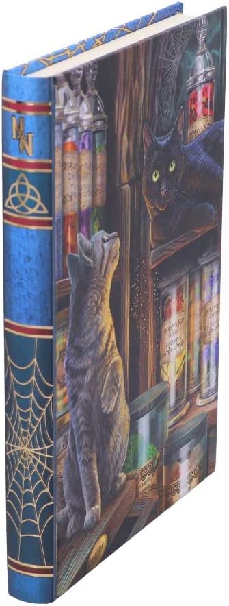 Nemesis Now Lisa Parker Magical Emporium Tagebuch, mehrfarbig, 17 cm