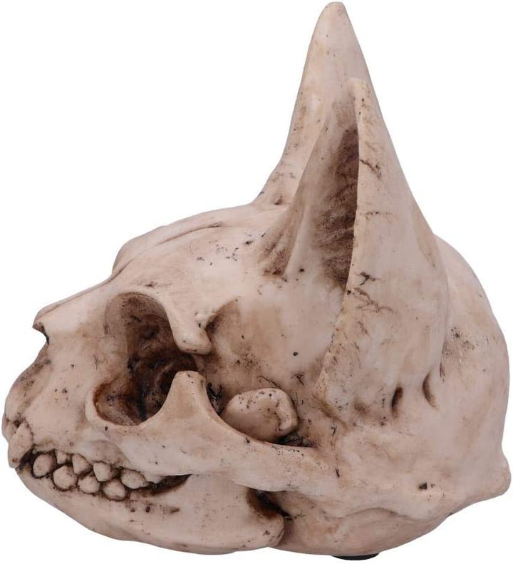 Nemesis Now Bastet's Secret Cat Skull Figurine Ornament, Natural Bone Colour, On