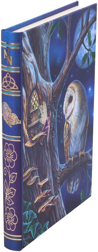 Nemesis Now Lisa Parker Fairy Tales Tagebuch, Blau, 17 cm